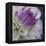 Lavender Dahlia III-Rita Crane-Framed Premier Image Canvas