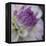 Lavender Dahlia III-Rita Crane-Framed Premier Image Canvas