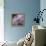 Lavender Dahlia IV-Rita Crane-Framed Premier Image Canvas displayed on a wall