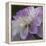 Lavender Dahlia IV-Rita Crane-Framed Premier Image Canvas