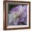 Lavender Dahlia IV-Rita Crane-Framed Photographic Print