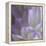 Lavender Dahlia V-Rita Crane-Framed Premier Image Canvas