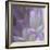 Lavender Dahlia V-Rita Crane-Framed Photographic Print