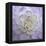 Lavender Dahlia VI-Rita Crane-Framed Premier Image Canvas