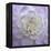 Lavender Dahlia VI-Rita Crane-Framed Premier Image Canvas