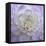 Lavender Dahlia VI-Rita Crane-Framed Premier Image Canvas