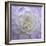 Lavender Dahlia VI-Rita Crane-Framed Photographic Print