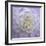 Lavender Dahlia VI-Rita Crane-Framed Photographic Print