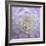 Lavender Dahlia VI-Rita Crane-Framed Photographic Print