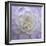 Lavender Dahlia VI-Rita Crane-Framed Photographic Print