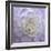 Lavender Dahlia VI-Rita Crane-Framed Photographic Print
