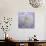Lavender Dahlia VI-Rita Crane-Photographic Print displayed on a wall