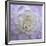 Lavender Dahlia VI-Rita Crane-Framed Giclee Print