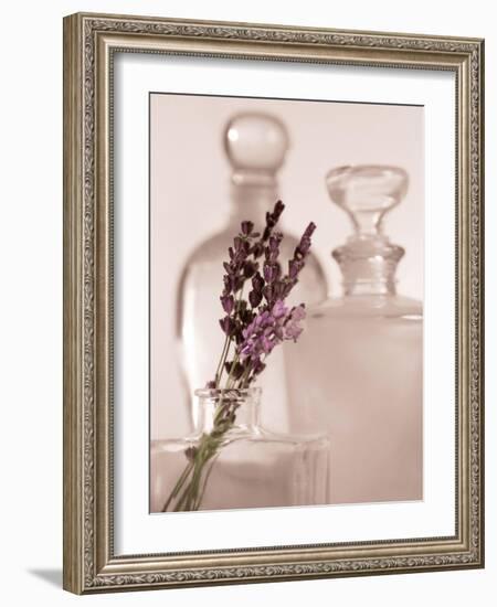 Lavender Detail-Julie Greenwood-Framed Art Print