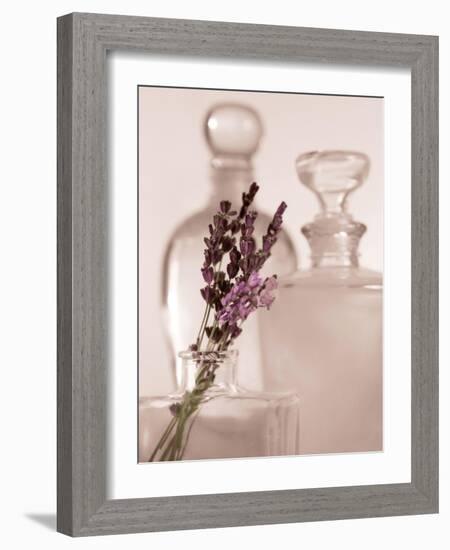 Lavender Detail-Julie Greenwood-Framed Art Print