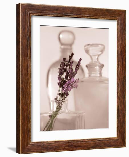 Lavender Detail-Julie Greenwood-Framed Art Print