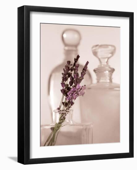 Lavender Detail-Julie Greenwood-Framed Art Print