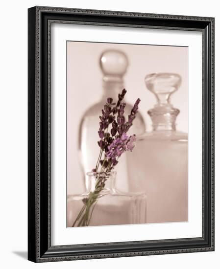 Lavender Detail-Julie Greenwood-Framed Art Print