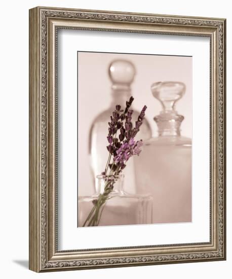 Lavender Detail-Julie Greenwood-Framed Art Print