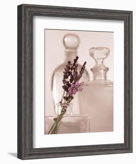 Lavender Detail-Julie Greenwood-Framed Art Print