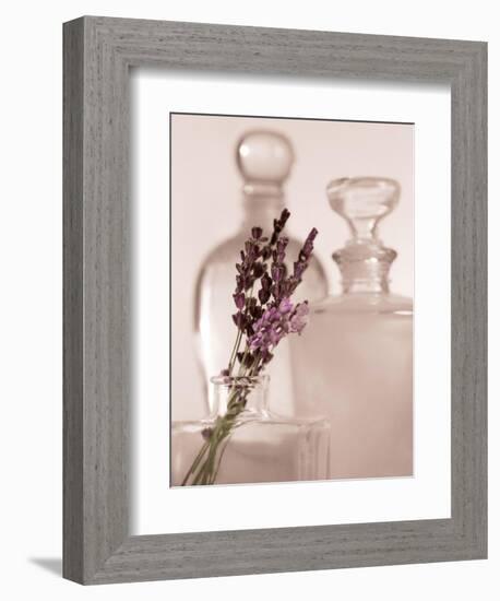 Lavender Detail-Julie Greenwood-Framed Art Print