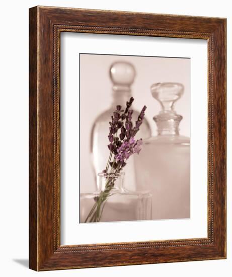 Lavender Detail-Julie Greenwood-Framed Art Print