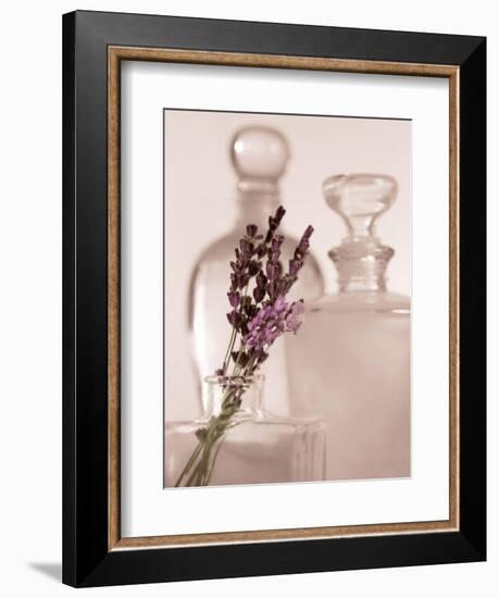 Lavender Detail-Julie Greenwood-Framed Art Print