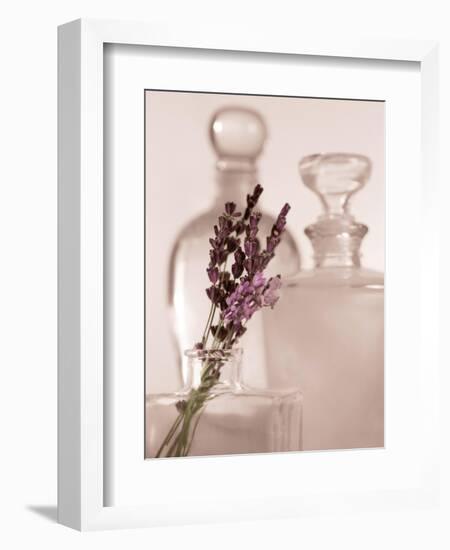 Lavender Detail-Julie Greenwood-Framed Art Print