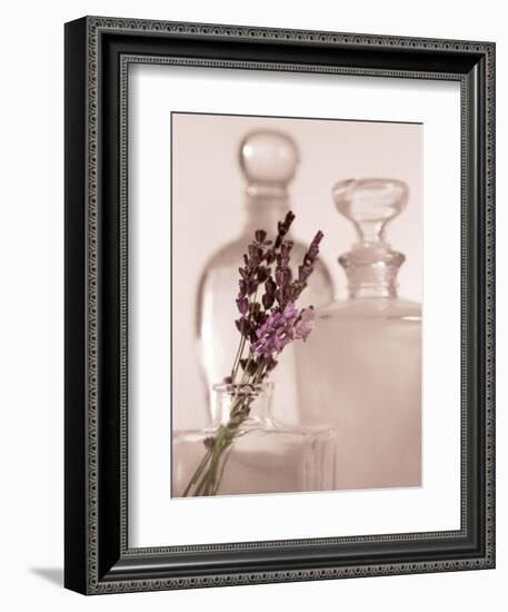Lavender Detail-Julie Greenwood-Framed Art Print