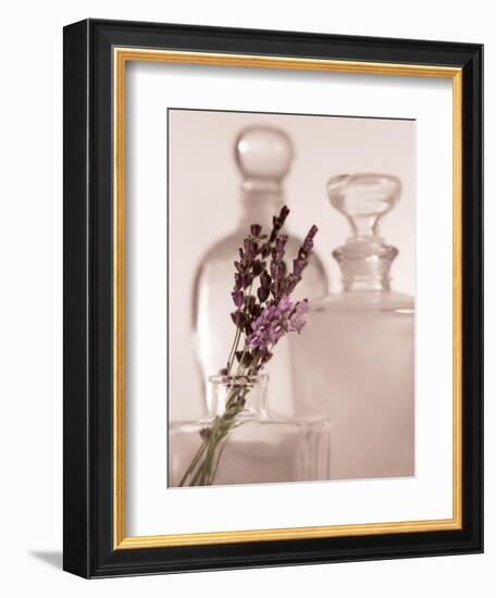 Lavender Detail-Julie Greenwood-Framed Art Print