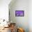 Lavender Escape-Marco Carmassi-Framed Premier Image Canvas displayed on a wall