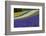 Lavender Farm, Furano, Hokkaido Prefecture, Japan-Keren Su-Framed Photographic Print