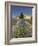 Lavender Farm, Near Cromwell, Central Otago, South Island, New Zealand-David Wall-Framed Photographic Print