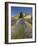 Lavender Farm, Near Cromwell, Central Otago, South Island, New Zealand-David Wall-Framed Photographic Print