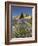 Lavender Farm, Near Cromwell, Central Otago, South Island, New Zealand-David Wall-Framed Photographic Print