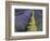 Lavender Farm, Sequim, Washington, USA-Michel Hersen-Framed Photographic Print