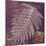 Lavender Fern-Booker Morey-Mounted Art Print