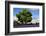 Lavender Festival, Willakenzie Lavender Farm, Yamhill, Oregon, USA-Michel Hersen-Framed Photographic Print