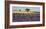 Lavender field and almond tree, Provence, France-Frank Krahmer-Framed Giclee Print