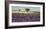 Lavender field and almond tree, Provence, France-Frank Krahmer-Framed Giclee Print