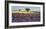 Lavender field and almond tree, Provence, France-Frank Krahmer-Framed Giclee Print