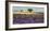 Lavender field and almond tree, Provence, France-Frank Krahmer-Framed Giclee Print