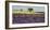 Lavender field and almond tree, Provence, France-Frank Krahmer-Framed Giclee Print