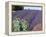 Lavender Field and Poppies, Sequim, Olympic National Park, Washington, USA-Charles Sleicher-Framed Premier Image Canvas