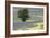 Lavender Field and Tree-Dana Styber-Framed Photographic Print