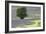 Lavender Field and Tree-Dana Styber-Framed Photographic Print