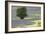 Lavender Field and Tree-Dana Styber-Framed Photographic Print