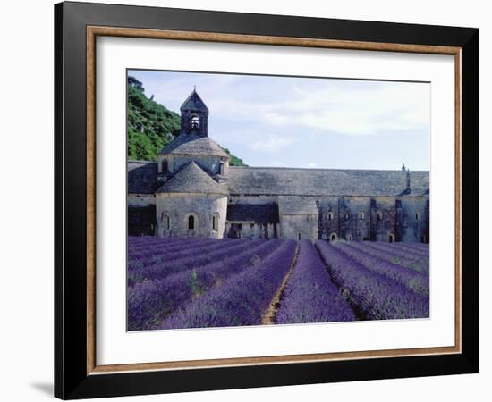 Lavender Field at Abbeye du Senanque-Owen Franken-Framed Photographic Print