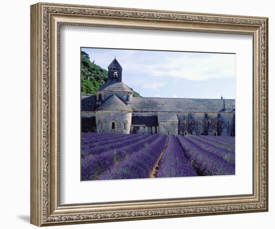 Lavender Field at Abbeye du Senanque-Owen Franken-Framed Photographic Print