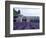 Lavender Field at Abbeye du Senanque-Owen Franken-Framed Photographic Print